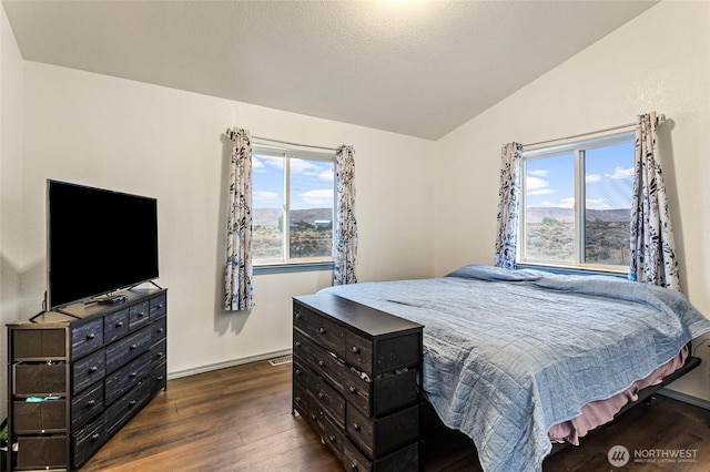 550 Red Tail Rd, Yakima, WA 98908 - bedroom with lofted ceiling, dark wood-style floors, and multiple windows