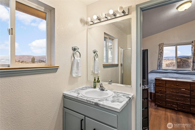 550 Red Tail Rd, Yakima, WA 98908 - bathroom with a textured wall, vanity, wood finished floors, and an enclosed shower