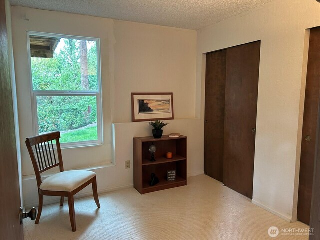 18920 NE 20th Ct, Redmond, WA 98052 - sitting room featuring plenty of natural light, carpet floors, and a textured ceiling