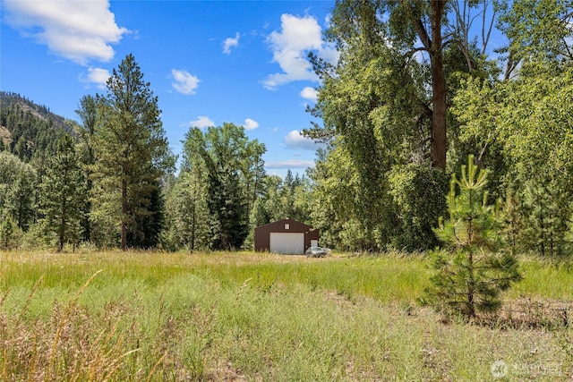 330 Swauk Creek Ln, Cle Elum, WA 98922 - view of wooded area