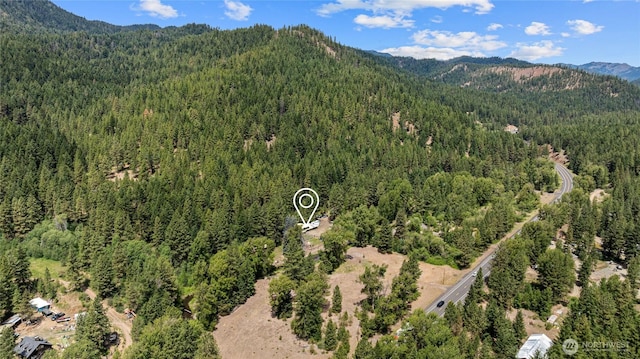 330 Swauk Creek Ln, Cle Elum, WA 98922 - view of property location featuring a heavily wooded area and a mountainous background