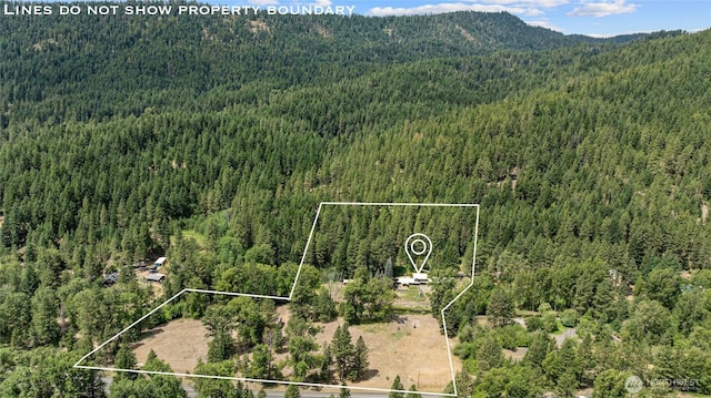 330 Swauk Creek Ln, Cle Elum, WA 98922 - view of property location featuring property parcel outlined