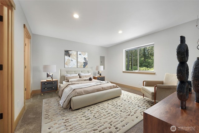 10405 Tahoma Dr, Anderson Island, WA 98303 - bedroom featuring recessed lighting and carpet floors