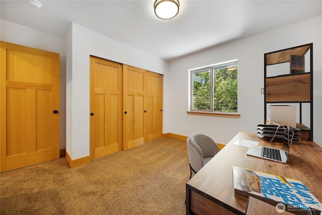 10405 Tahoma Dr, Anderson Island, WA 98303 - carpeted office space featuring baseboards