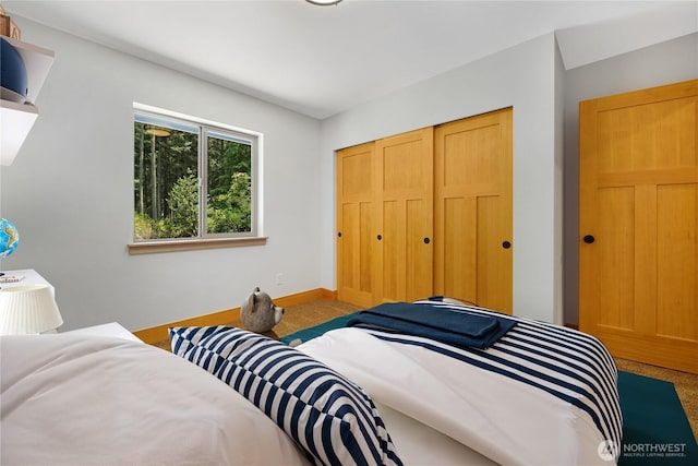10405 Tahoma Dr, Anderson Island, WA 98303 - bedroom featuring carpet floors and a closet