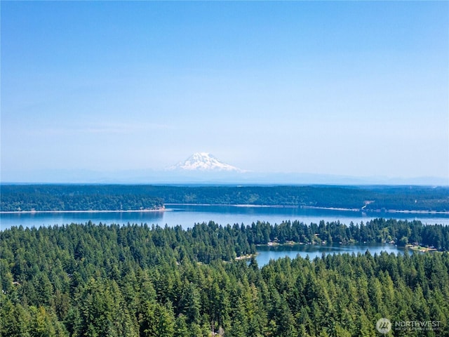 10405 Tahoma Dr, Anderson Island, WA 98303 - water view with a heavily wooded area