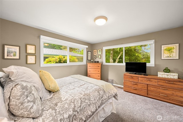 2714 Alderwood Ave, Bellingham, WA 98225 - bedroom featuring carpet floors and baseboards