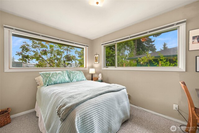 2714 Alderwood Ave, Bellingham, WA 98225 - bedroom featuring carpet and baseboards