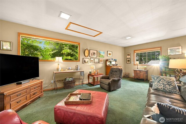 2714 Alderwood Ave, Bellingham, WA 98225 - carpeted living room with plenty of natural light