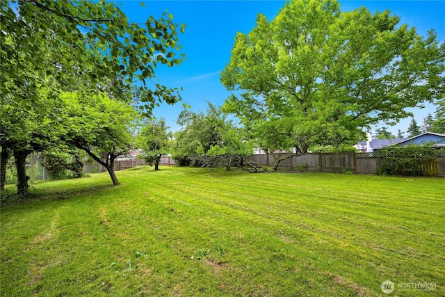 2714 Alderwood Ave, Bellingham, WA 98225 - view of fenced backyard