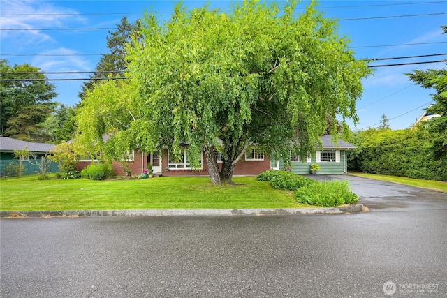 2714 Alderwood Ave, Bellingham, WA 98225 - view of property hidden behind natural elements with a front yard and asphalt driveway