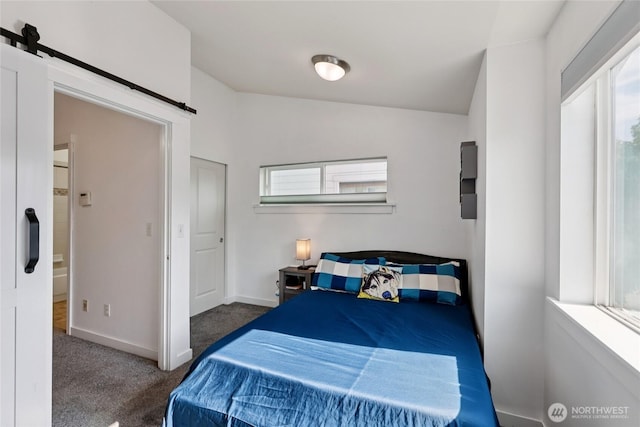 8450 25th Ave SW Unit B, Seattle, WA 98106 - bedroom with carpet flooring and a barn door