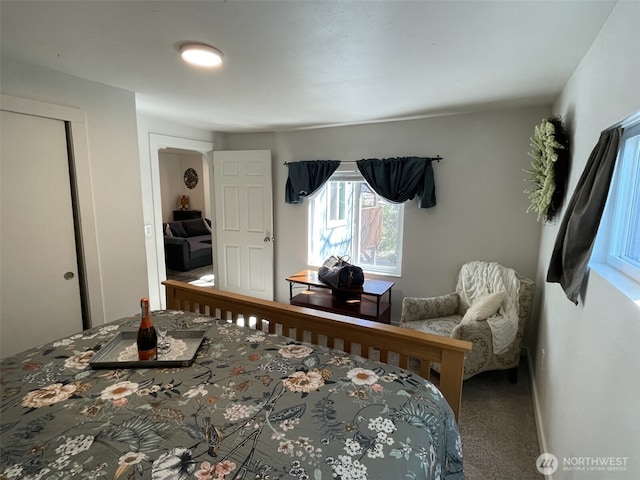41504 Mountain View Pl E, Gold Bar, WA 98251 - bedroom featuring carpet floors