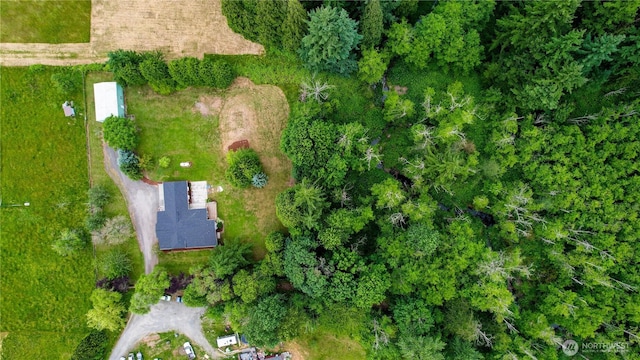 4030 Twin Creek Rd, Ferndale, WA 98248 - aerial view of property's location