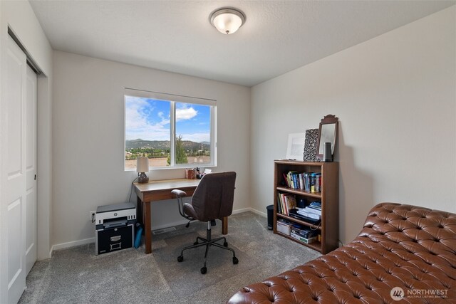 2692 N Swainson Ln, Liberty Lake, WA 99019 - photo 21