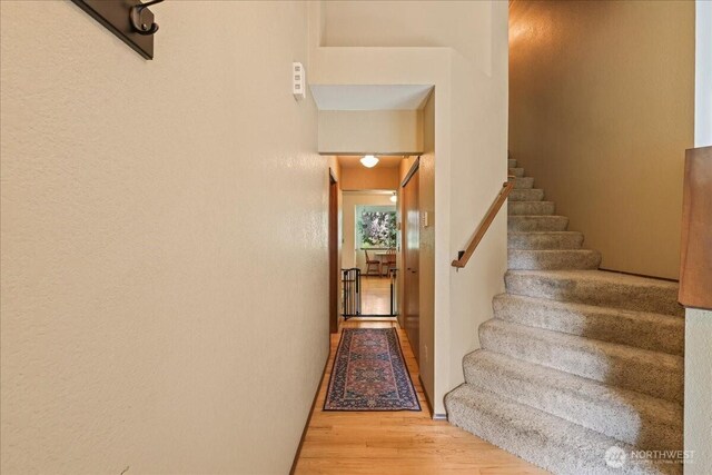 13319 15th Avenue Ct E, Tacoma, WA 98445 - staircase featuring wood finished floors