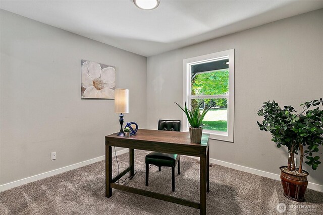 22526 251st Ave SE, Maple Valley, WA 98038 - office area with carpet flooring and baseboards
