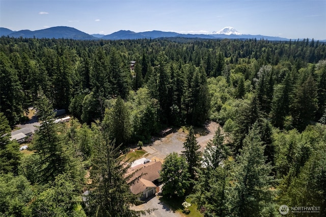22526 251st Ave SE, Maple Valley, WA 98038 - aerial view of a mountainous background