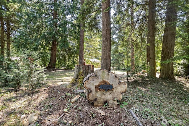 22526 251st Ave SE, Maple Valley, WA 98038 - view of yard with a wooded view