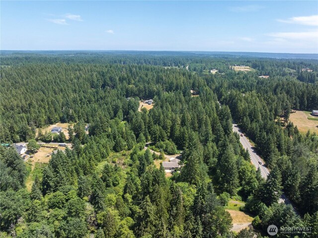 13304 159th Ave NW, Gig Harbor, WA 98329 - photo 37