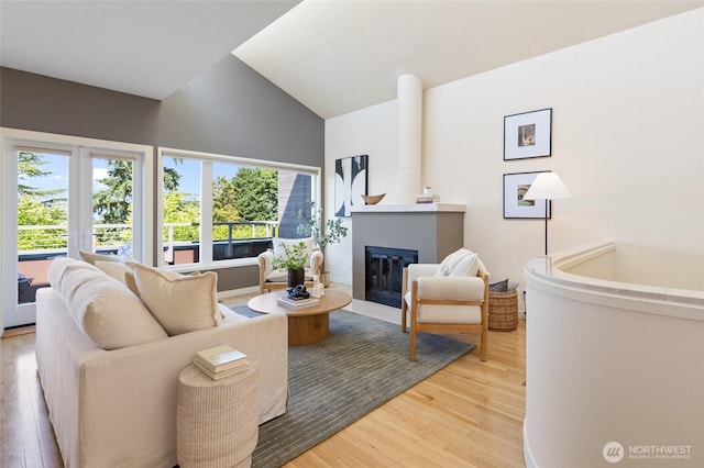 101 NW 58th St Unit 10, Seattle, WA 98107 - living area with light wood-style floors, a glass covered fireplace, and vaulted ceiling