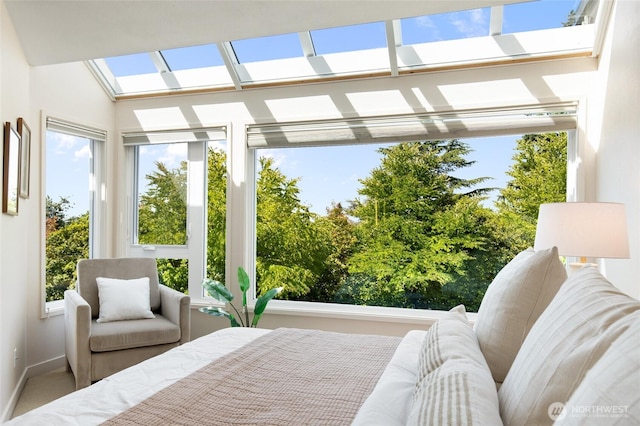 101 NW 58th St Unit 10, Seattle, WA 98107 - bedroom with a skylight and multiple windows