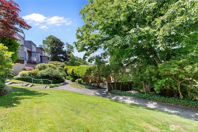 101 NW 58th St Unit 10, Seattle, WA 98107 - view of green lawn