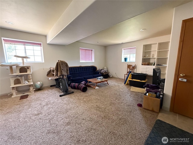 16 River Overlook St, Omak, WA 98841 - carpeted living room featuring plenty of natural light