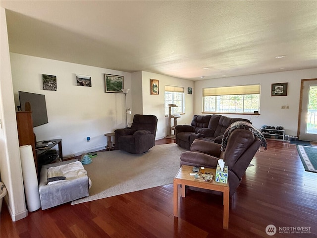 16 River Overlook St, Omak, WA 98841 - living room featuring wood finished floors