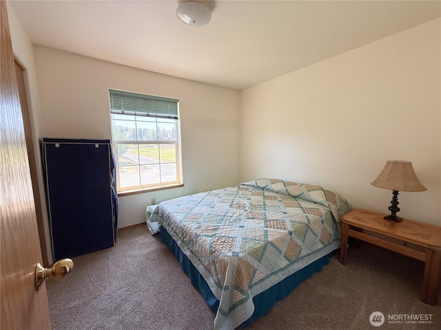 16 River Overlook St, Omak, WA 98841 - bedroom with carpet flooring and baseboards