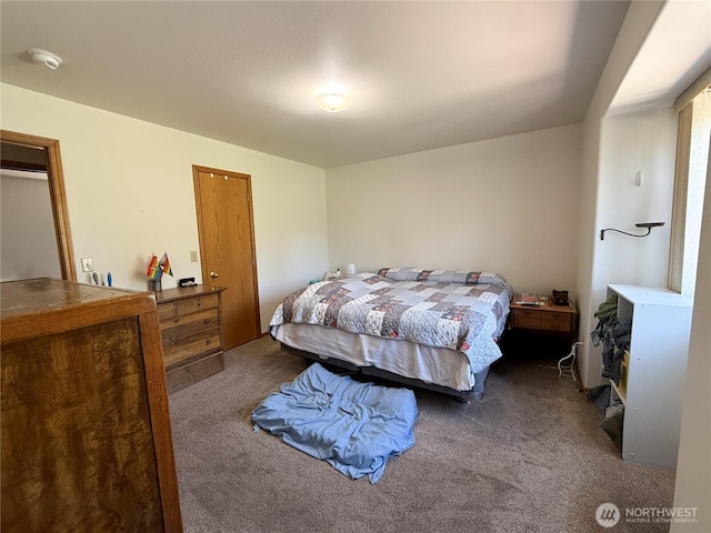 16 River Overlook St, Omak, WA 98841 - view of carpeted bedroom