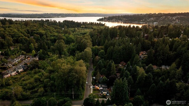 10731 NE 108th St, Kirkland, WA 98033 - photo 35