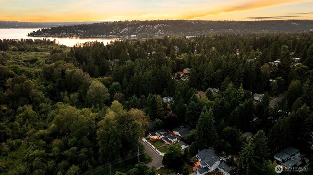10731 NE 108th St, Kirkland, WA 98033 - photo 36