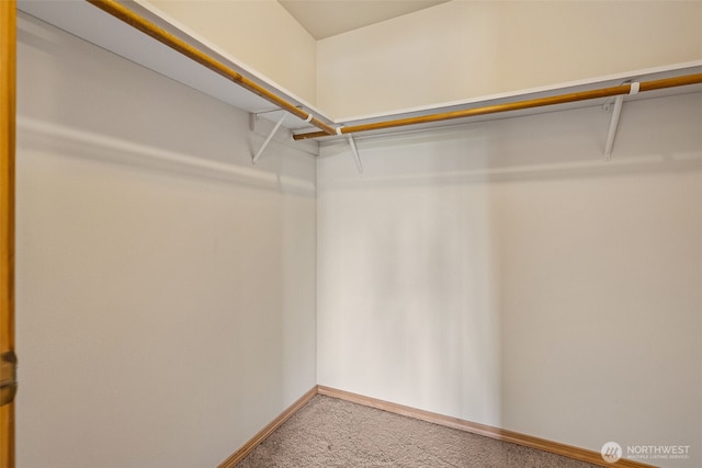 5436 180th Ave SW, Rochester, WA 98579 - walk in closet with carpet