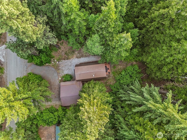 18690 Rieche Rd, Lake Wenatchee, WA 98826 - view of property location