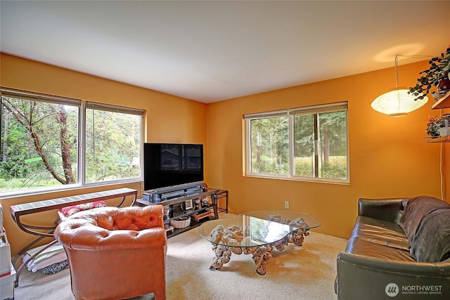 657 SW Camano Dr, Camano Island, WA 98282 - carpeted living room with plenty of natural light