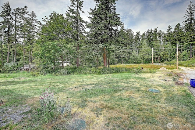 657 SW Camano Dr, Camano Island, WA 98282 - view of grassy yard with a view of trees