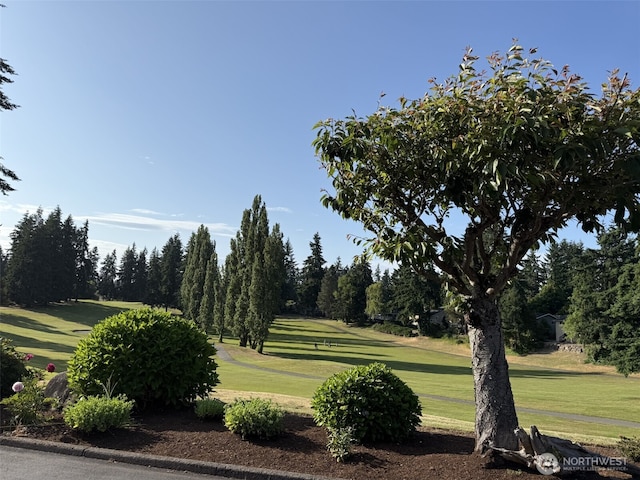 2748 SW 327th St S, Federal Way, WA 98023 - view of home's community featuring a lawn, view of wooded area, and golf course view