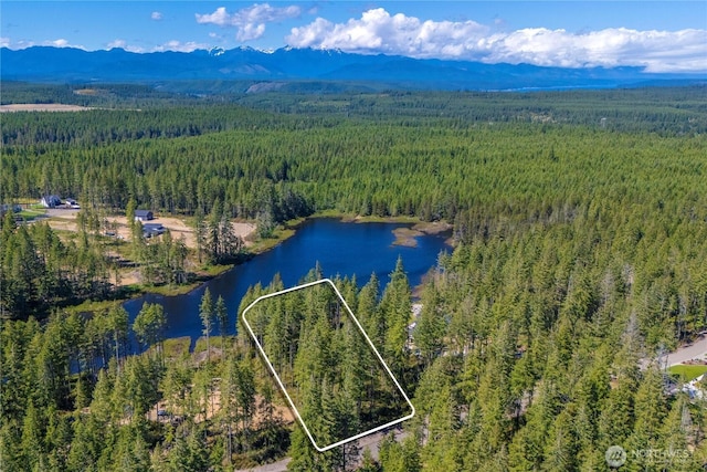 0 W Clear Lake Dr, Shelton, WA 98584 - photo 2
