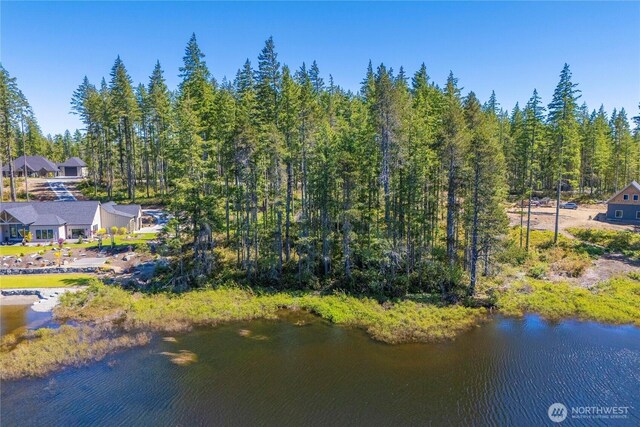 0 W Clear Lake Dr, Shelton, WA 98584 - photo 6