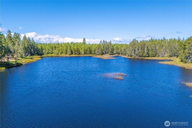 0 W Clear Lake Dr, Shelton, WA 98584 - photo 8