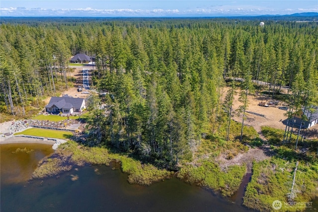 0 W Clear Lake Dr, Shelton, WA 98584 - photo 11