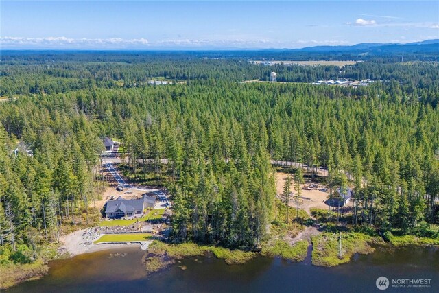 0 W Clear Lake Dr, Shelton, WA 98584 - photo 12