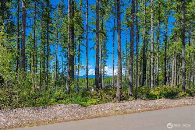 0 W Clear Lake Dr, Shelton, WA 98584 - photo 13