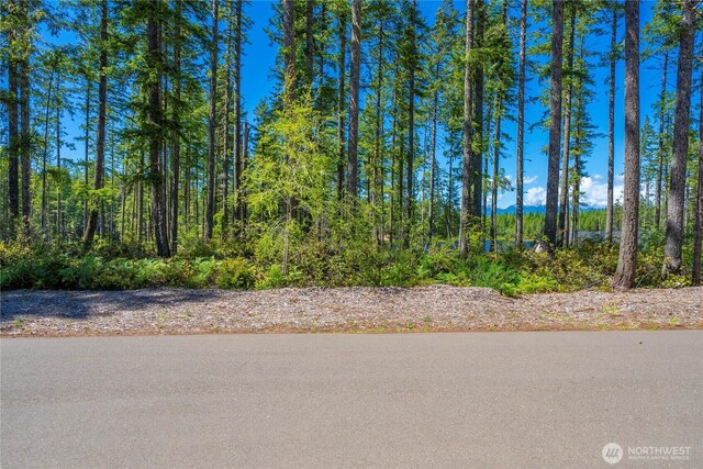 0 W Clear Lake Dr, Shelton, WA 98584 - photo 14