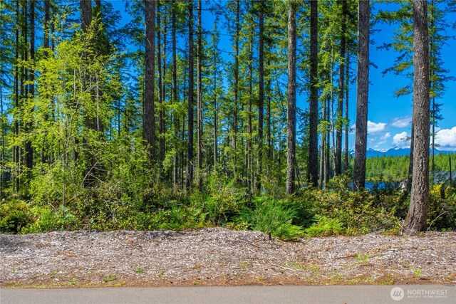 0 W Clear Lake Dr, Shelton, WA 98584 - photo 16