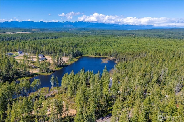 0 W Clear Lake Dr, Shelton, WA 98584 - photo 18