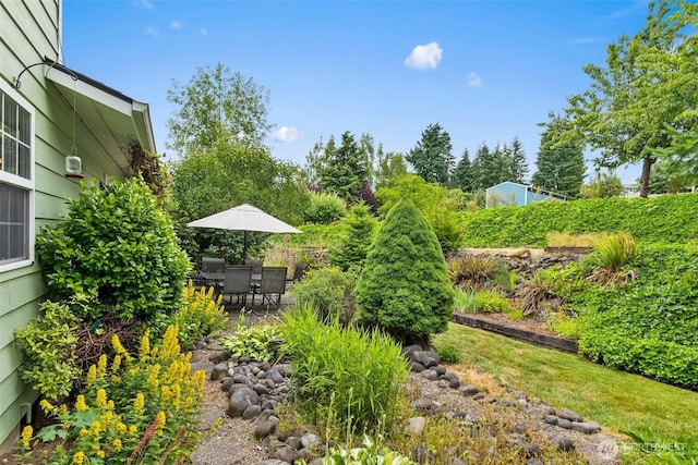 127 Springbrook Dr, Chehalis, WA 98532 - view of yard with a patio area