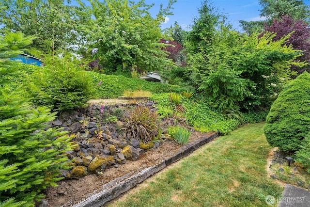 127 Springbrook Dr, Chehalis, WA 98532 - view of yard