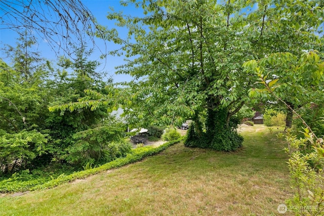 127 Springbrook Dr, Chehalis, WA 98532 - view of grassy yard